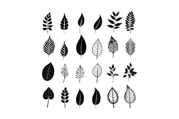 Elevating Design Workflows with a Premium Leaf Pattern Silhouette Set